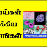 TNPSC – நோய்கள் முக்கிய தினங்கள் – அனைத்து தேர்வுகளுக்கும் Use ஆகும்