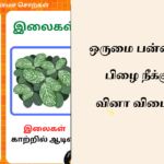 ஒருமை – பன்மை பிழை TNPSC PREVIOUS YEAR QUESTIONS 2024