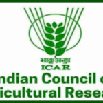 Indian Council of Agricultural Research Recruitment 2024