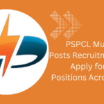 PSPCL Multiple Posts Recruitment 2024: Apply for Key Positions Across Punjab